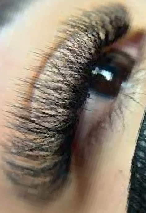 Extensión de pestañas volumen egipcio